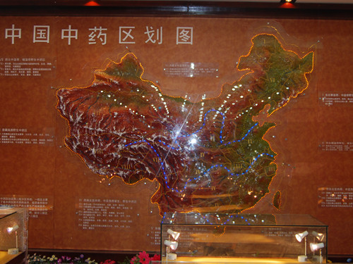 中國中藥區地形圖模型